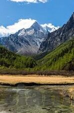 麻豆91传媒国产在线-关于麻豆91传媒国产在线平台的网络内容分析